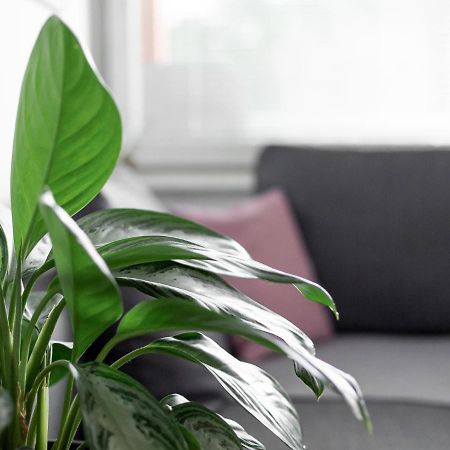 Apartma Vrtnica 5Th Floor Nova Gorica Eksteriør billede